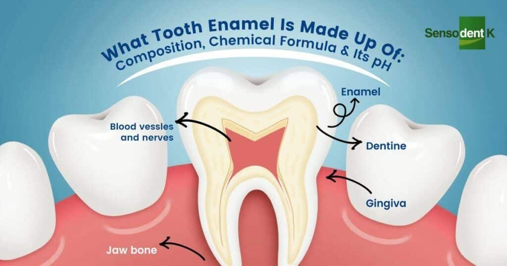 chemical composition of tooth enamel